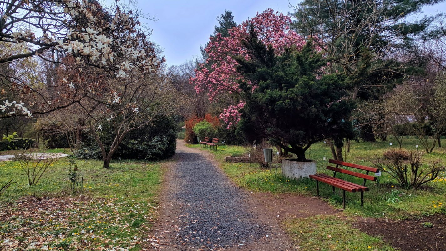 Grădina Botanică Universitară “Pavel Covaci” din Macea, Macea, Romania, Romania